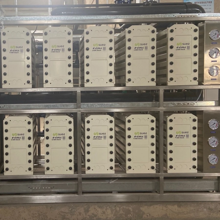 EDI water treatment system (3)